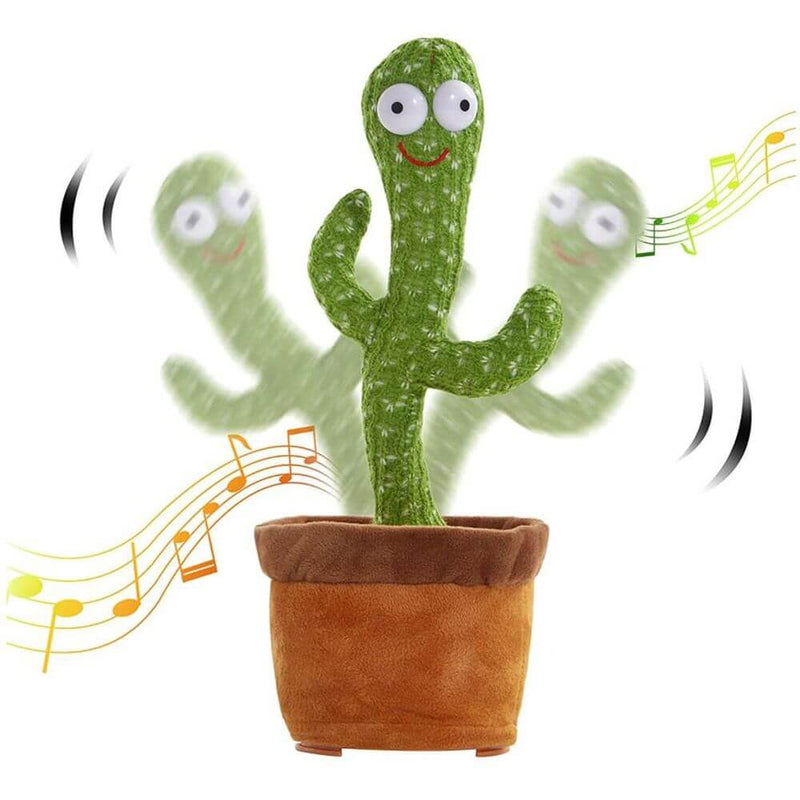 Cactus Bailarin