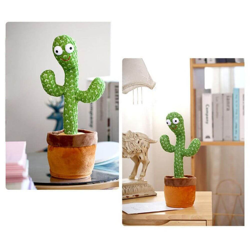 Cactus Bailarin